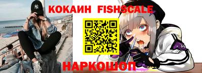 СК Кингисепп
