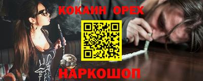 СК Кингисепп