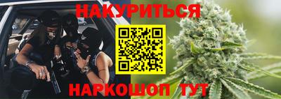 СК Кингисепп