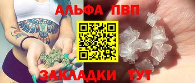 СК Кингисепп