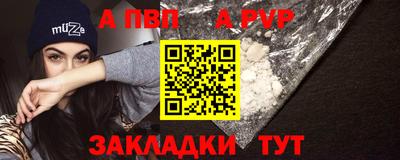 СК Кингисепп