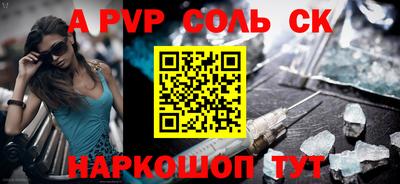 СК Кингисепп