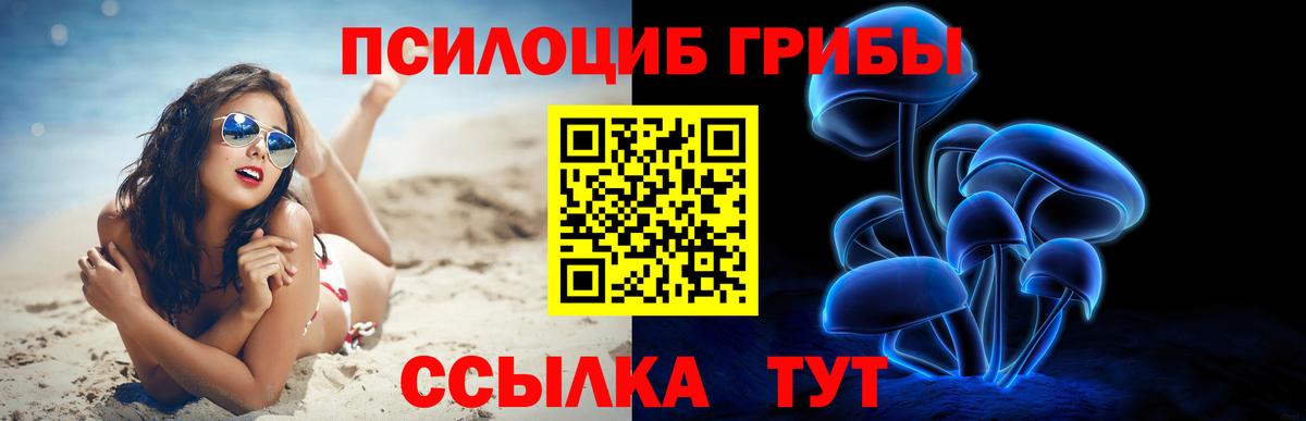 Галлюциногенные грибы Psilocybe  Вход с VPN  хочу   Кострома 